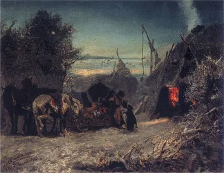 Ochtend in het bos